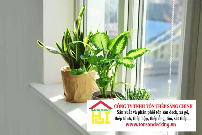 12 cách hóa giải năng lượng xấu cho ngôi nhà