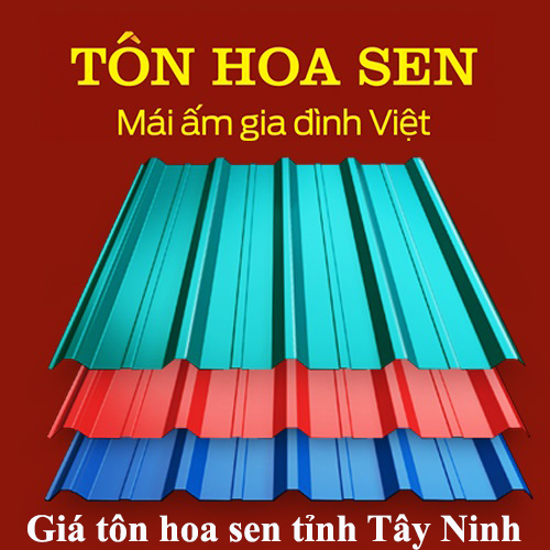 Giá tôn hoa sen tỉnh Tây Ninh