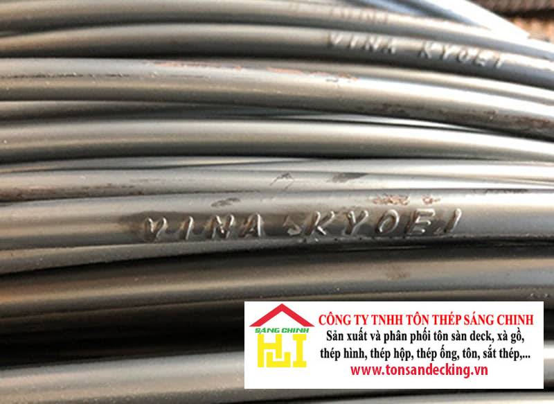 Chủ tịch thép Việt Nhật là ai?